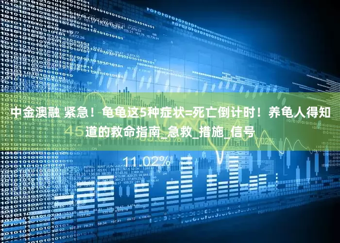 中金澳融 紧急！龟龟这5种症状=死亡倒计时！养龟人得知道的救命指南_急救_措施_信号