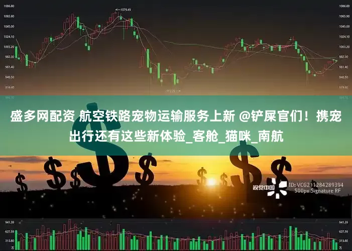 盛多网配资 航空铁路宠物运输服务上新 @铲屎官们！携宠出行还有这些新体验_客舱_猫咪_南航