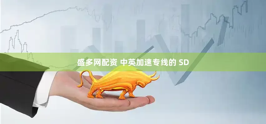 盛多网配资 中英加速专线的 SD