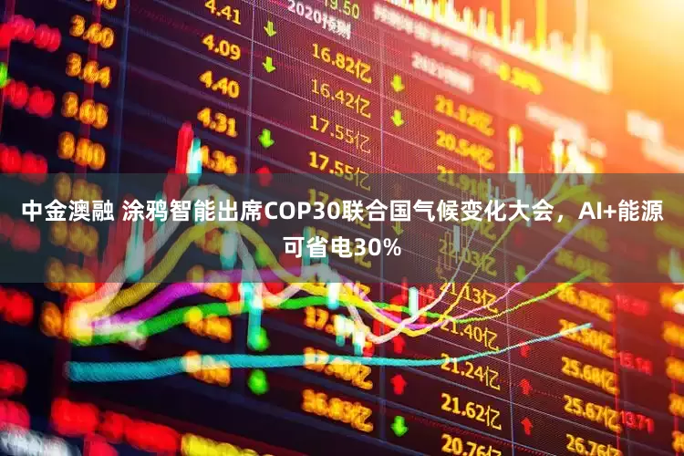 中金澳融 涂鸦智能出席COP30联合国气候变化大会，AI+能源可省电30%