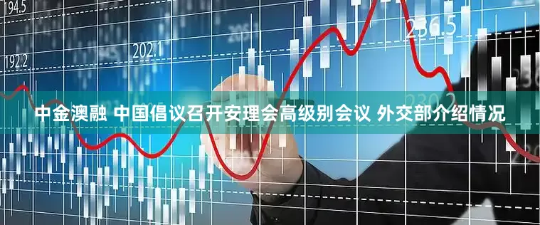 中金澳融 中国倡议召开安理会高级别会议 外交部介绍情况